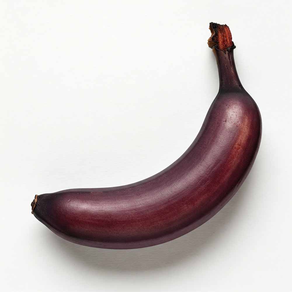 abyssziniai banan