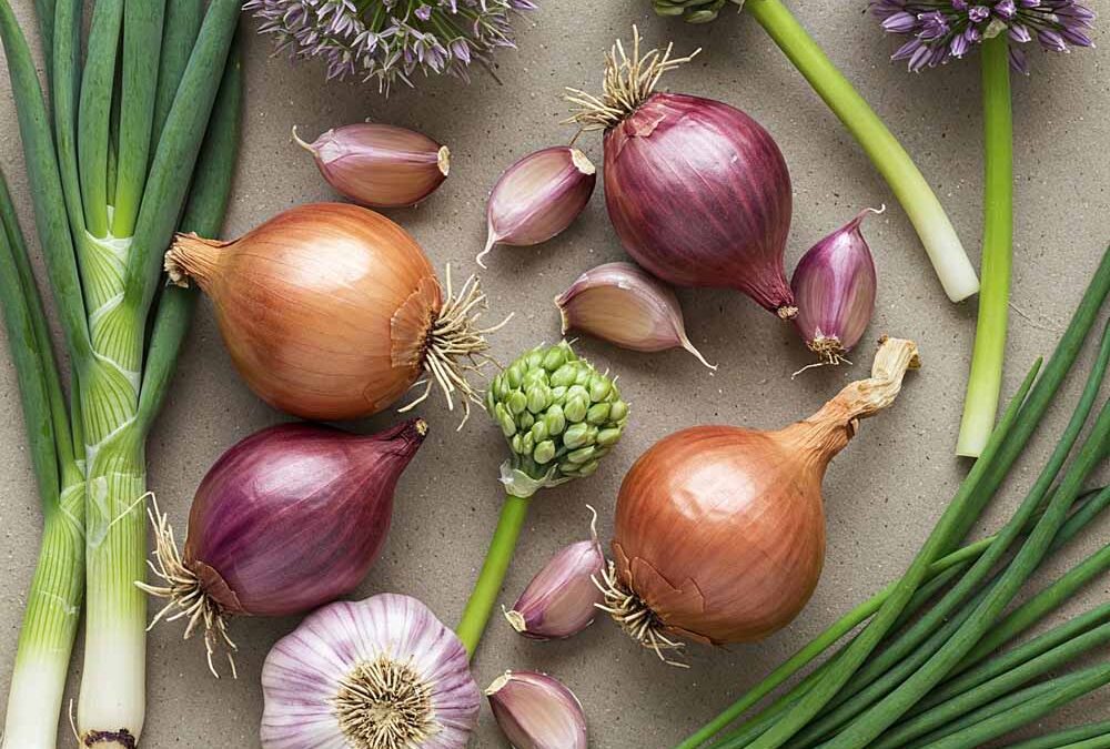 Hagymások (Alliaceae)