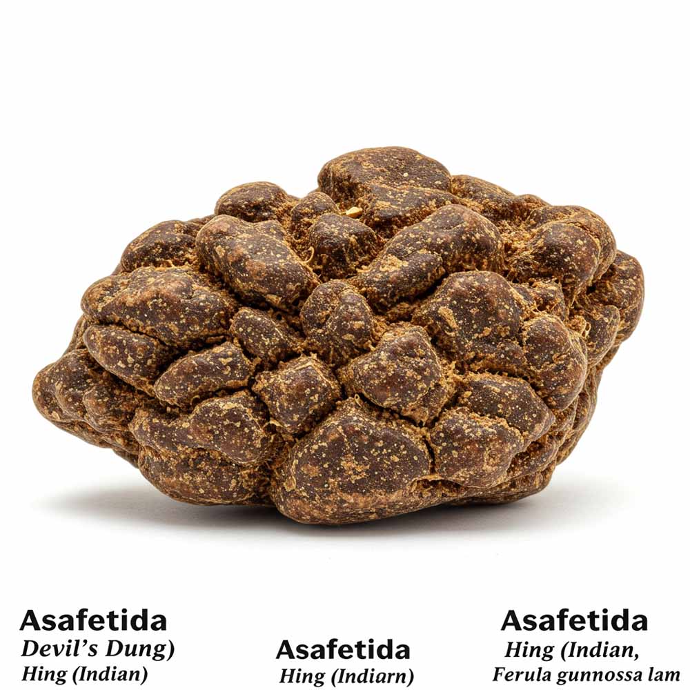 aszantgyanta