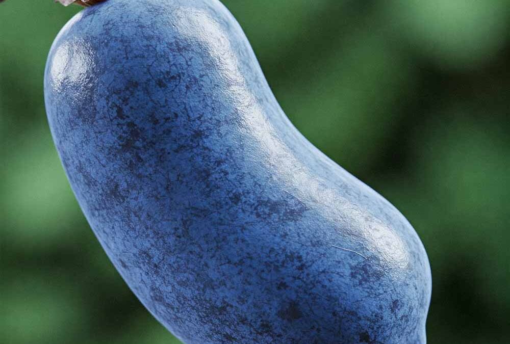 Kék kolbászdinnye