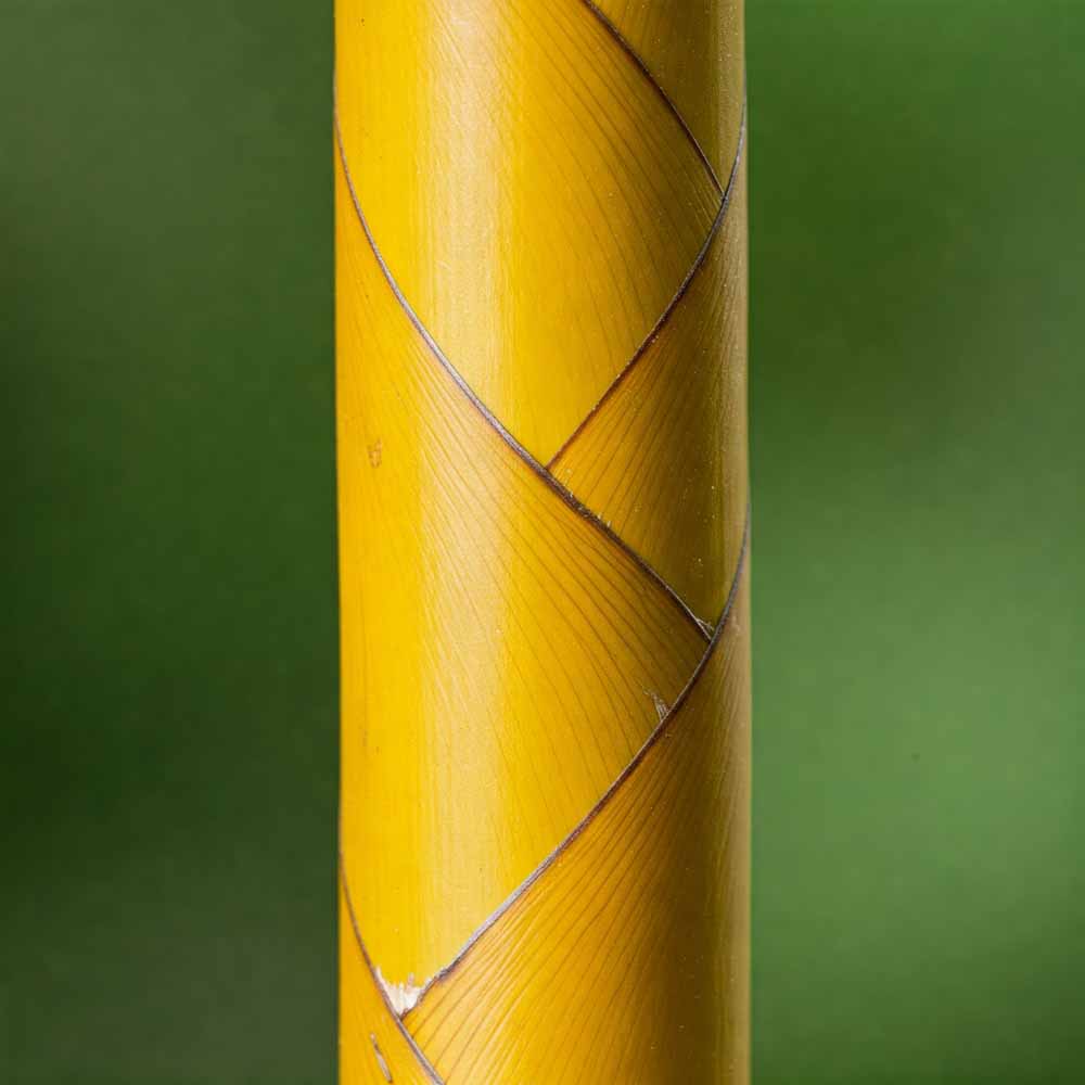 sargagyurus bambusz